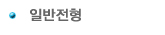 일반전형